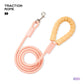 🐾 馬卡龍色高密度尼龍寵物牽引繩｜舒適握感・耐用安全