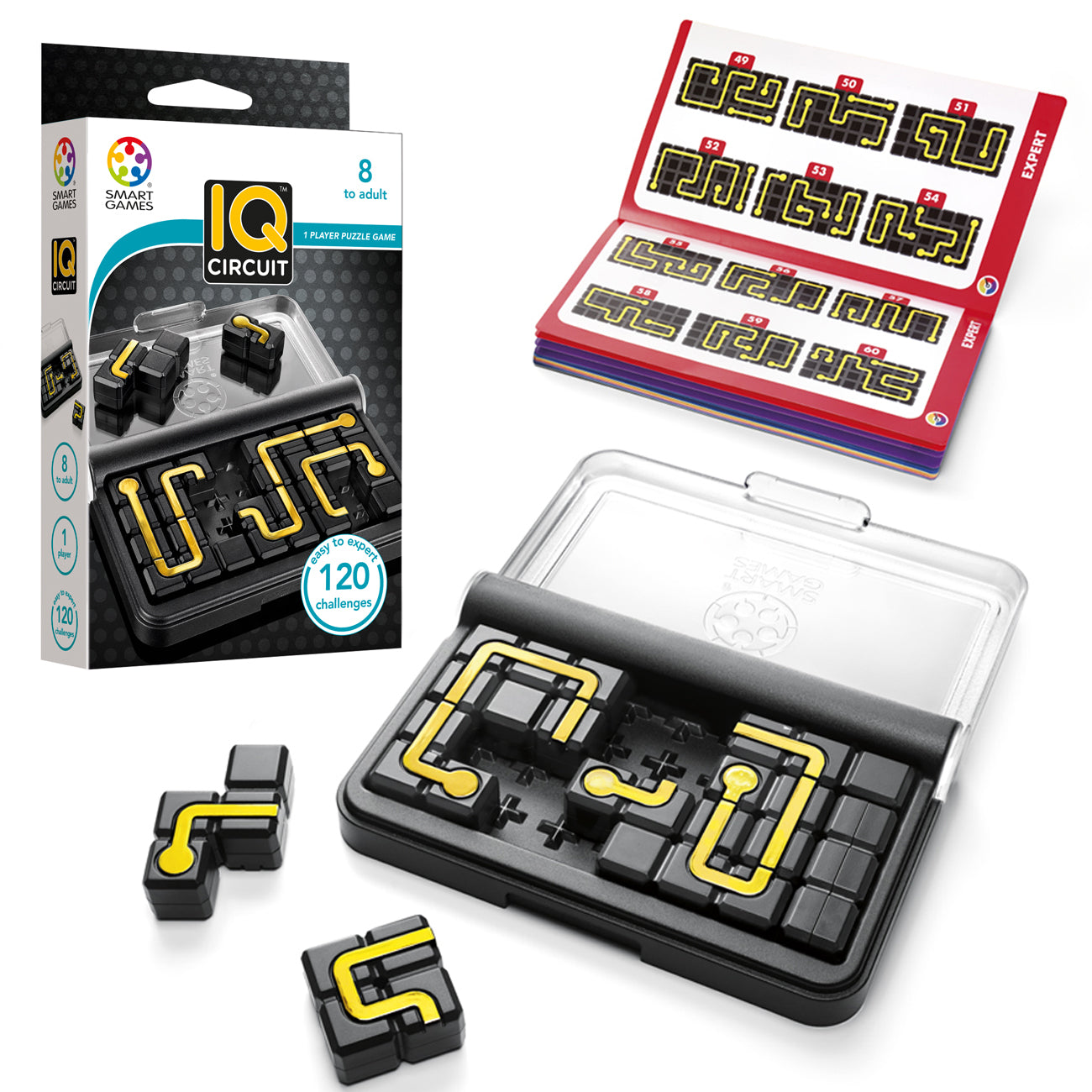 智力遊戲：智力連線 IQ CIRCUIT – 有記行